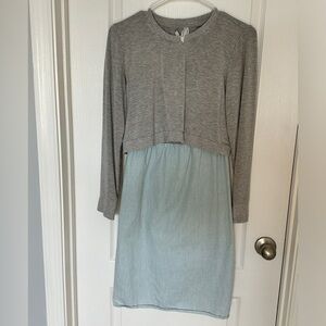 Seraphine maternity and nursing dress with sweater